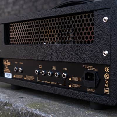 Friedman Pink Taco V2 Amplifier head image 11