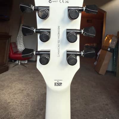 ESP LTD arctic metal, peter distefano, porno for pyros, the psychedelic furs, jane's addiction image 16