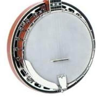 Recording King Songster Resonator Banjo (RK-R20) image 1