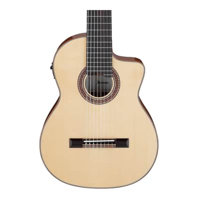 Ibanez GA3008CE Acoustic Electric Guitar with Hard Case (Natural High Gloss) image 4
