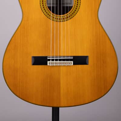Yamaha GC22C Classical Guitar – Solid Cedar & Rosewood with Case image 1