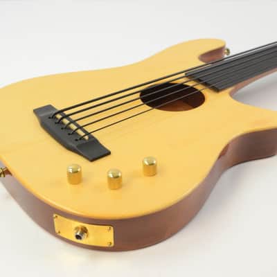 Carvin AC-50 5 String Fretless Acoustic-Electric Bass Guitar