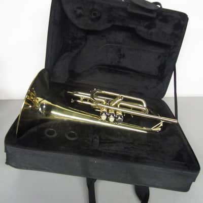 Moz Mellophone with Case image 12
