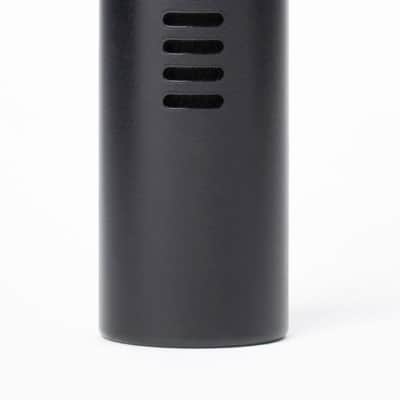 (Mint) Warm Audio WA-19 Dynamic Studio Microphone - Black image 1