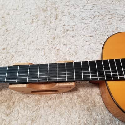 Aria Flamenco AC-150F (Spain) image 17