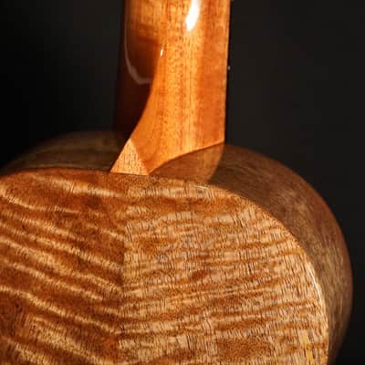 Rebel Double Creme Tenor Gloss 2025 - Natural image 7