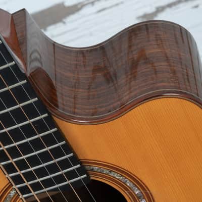 Manzer Baritone "Pat Metheny" image 16