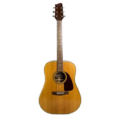 Fender F-230 1982 - 1988
