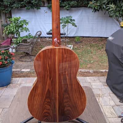 Vintage Giannini GN70  Classical/ Nylon  Electric  guitar image 5