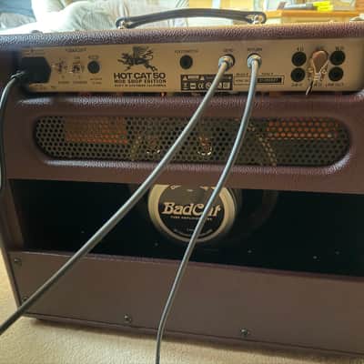 Bad Cat Mod Shop Hot Cat 50 2-Channel 50-Watt 1x12" Guitar Combo 2026 - Present - Black image 2