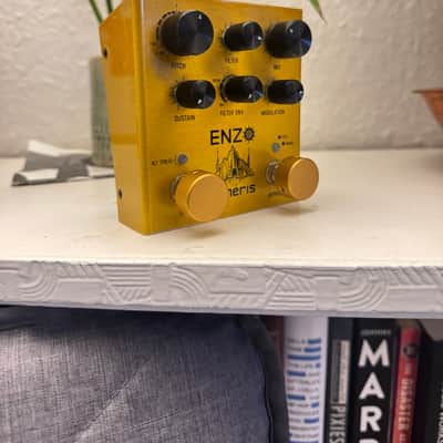 Meris Enzo image 5