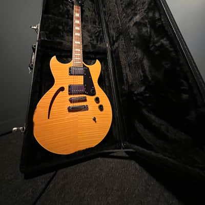 Reverend Manta Ray HB 2010s COMES WITH CASE - rare Flamed Maple image 11