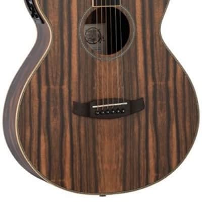 Tanglewood Reunion Pro Series TRU4CE Electro-Acoustic Super Folk Cutaway, All Figured Ebony image 1