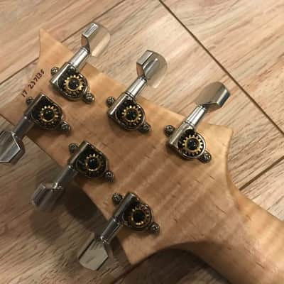 PRS Custom 24 Floyd Artist image 15