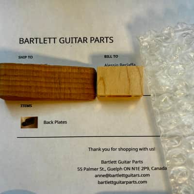 Tom Bartlett Les paul backplates gibson 1959 burst light Aged 2026 - Black image 5