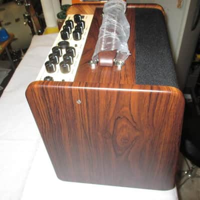 Amplificatore Richwood Chitarra acustica nuovo image 2