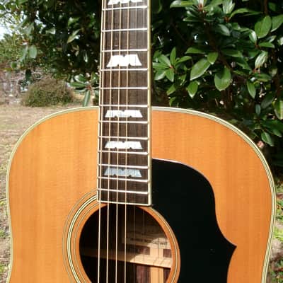 Morris MG-60 1977 Natural - Made in Japan - Solid Spruce Top image 3