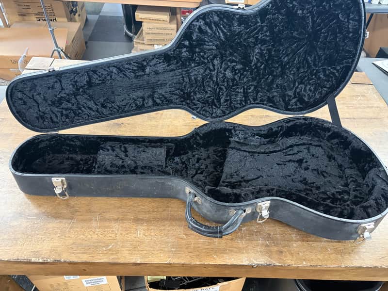 Unbranded Guitar case