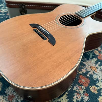 Alvarez Yari WY-1 - Natural image 2