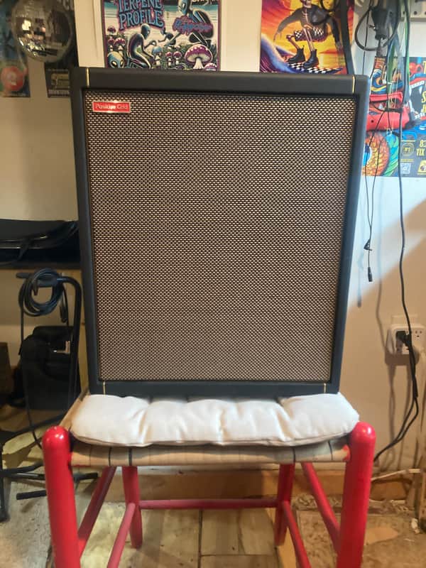Positive Grid Spark Cab Amplifier image 1