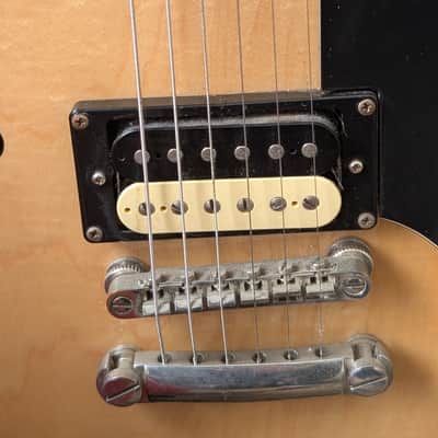 Epiphone The Dot (335 Style Guitar) image 8