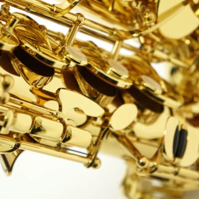 【Special price】 Yanagisawa A-WO1 [AW01] Professional Alto Saxophone image 13