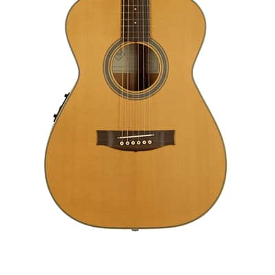 Maton Master Built T.E. PERSONAL Tommy Emmanuel signature guitar image 1