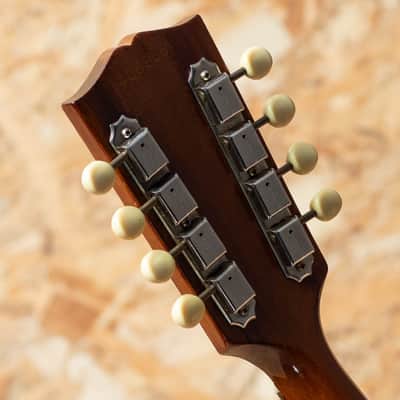 Gibson A-40 1966 image 9