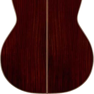 Cordoba C7-SP Classical Guitar, Solid Spruce Top image 3
