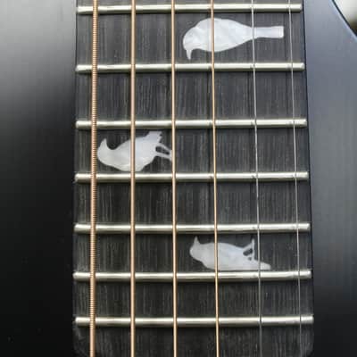 Schecter DJ Ashba Acoustic-Electric Guitar image 5