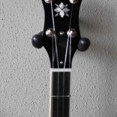 Brand New Recording King RK-R20 Songster Resonator 5 String Banjo with Gig Bag image 2