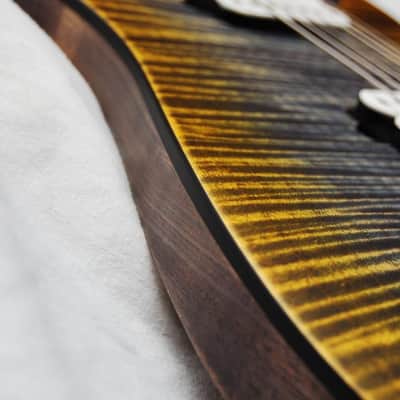 Kiesel DC7X 2014 image 10