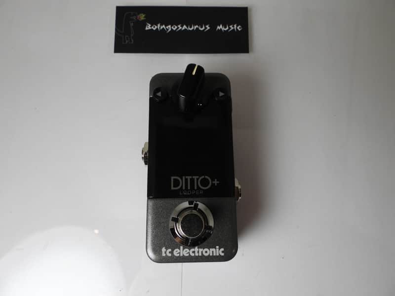 TC Electronics Ditto + Plus Looper Effects Pedal Phrase Sampler Free USA Ship image 1