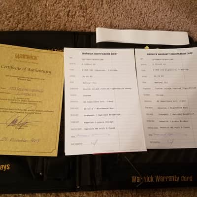 Warwick Streamer P-Nut Signature III 5-String Bass image 10
