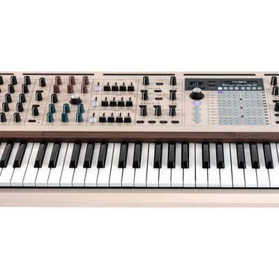 ARTURIA POLYBRUTE12 Polybrute 12 voix image 6