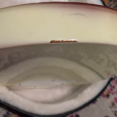 Gibson Buckethead Signature Les Paul 2009 - 2011 - Alpine White image 17