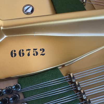 Immagine Bechstein V 1903 - Black Polish - 7