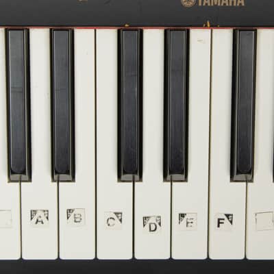 Yamaha P-60 88Key Digital Piano with PSU and Expression Pedal USED image 7