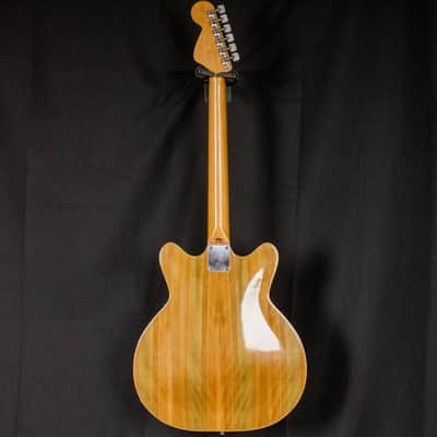 1967 Fender Coronado II Wildwood I image 11