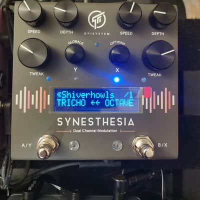 GFI System Synesthesia Dual Channel Modulation | Reverb