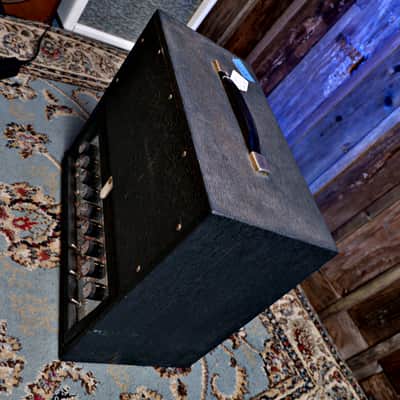 Danelectro DM-25 Vintage Tube Amp/Cab Combo w/ Reverb & Tremolo image 18