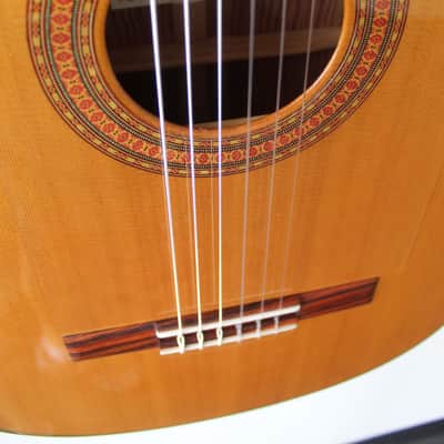 Brand New Marlon (Francisco) Navarro Flamenco Negra Guitar - Cedar Top image 5