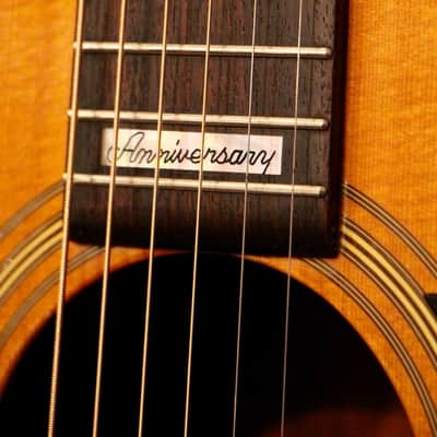 1980 Martin Sigma D-10 Anniversary Rare Grade 10 Solid Spruce/Lam. Mahogany (DM-18) Acoustic Guitar image 13
