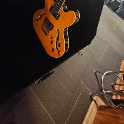 Road Runner RRGS5 5 Guitar Stand Case image 2