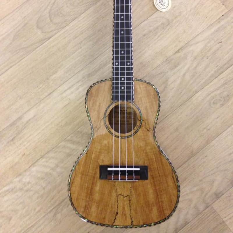 Freshman UKMAPLEC Spalted Maple