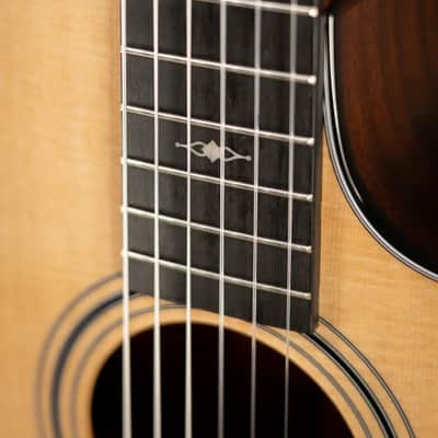 Taylor 312ce-N Nylon Grand Concert Acoustic/Electric Guitar with Hardshell Case image 8