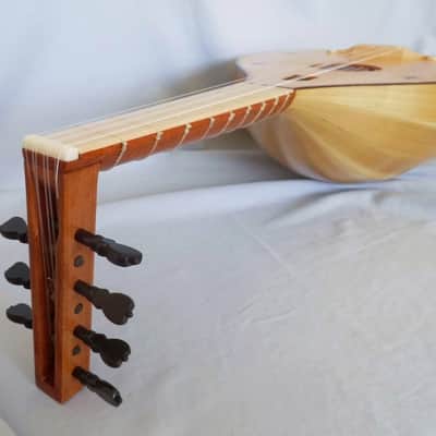 Cripple Creek Mandolins Medieval Lute 2023 image 6