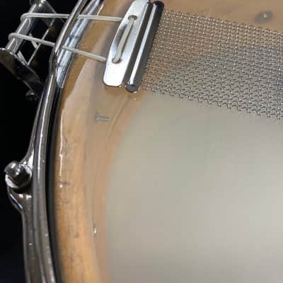 Slingerland Capri-Pearl - 5x14" Single Ply 8-Lug Niles Badge Snare Drum 1960s image 22