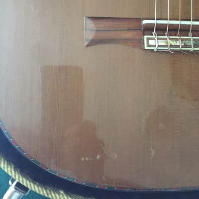 Kirk Sand Nylon string Brazilian rosewood and cedar 1985 image 5