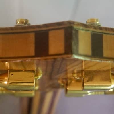 Phil Jones Custom Alembic Omega 1988 image 10